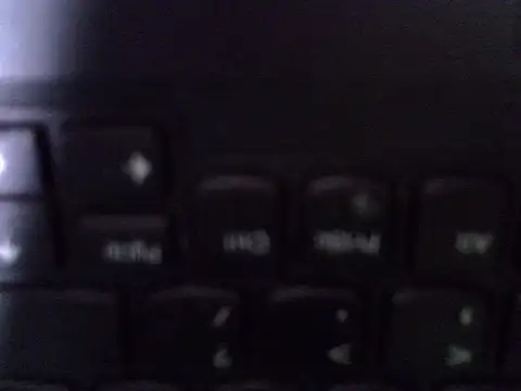 cocolaurah webcam