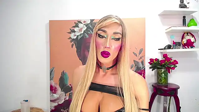 karlaveckyts webcam