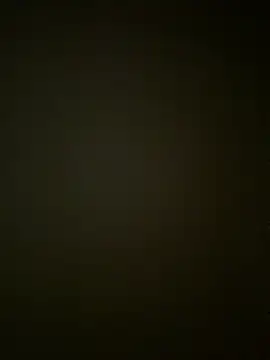 kotkite webcam