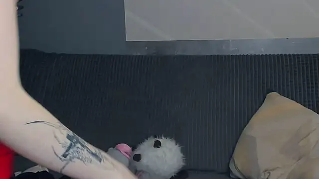 TarynPalek webcam