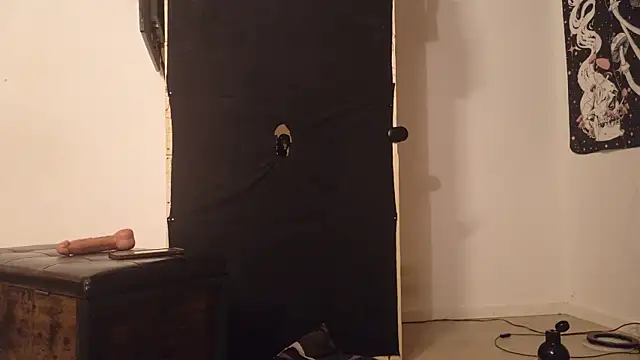 LadySeika webcam