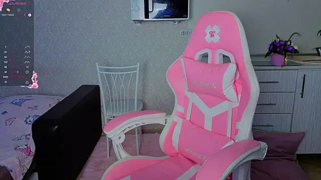 Hi_Kitti webcam