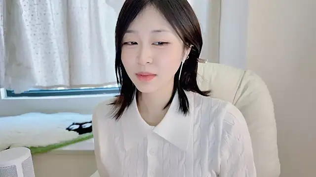 Onefiona webcam