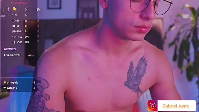 I_Gabriel webcam