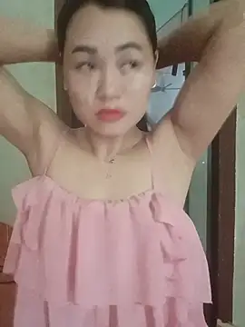 Pivi12 webcam