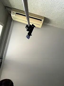 DollyTall webcam