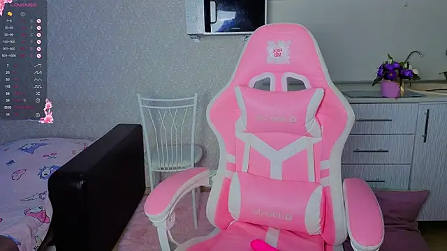 Hi_Kitti webcam