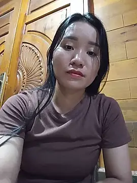 Td3di webcam