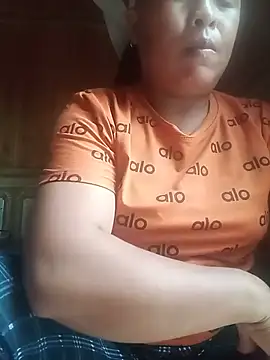 Ip34 webcam