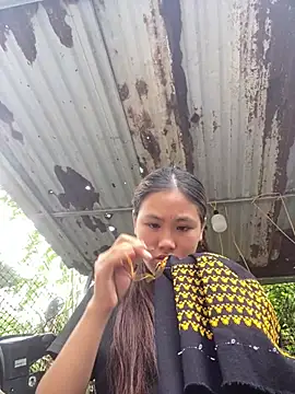 hoa_mai webcam