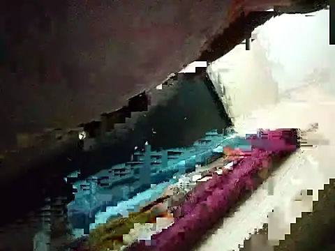 CHO8708 webcam