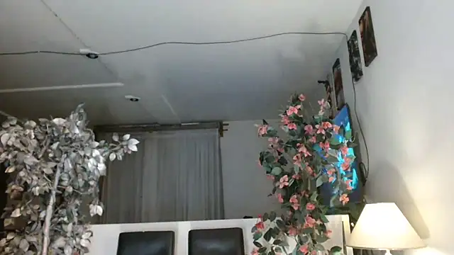 3littles webcam