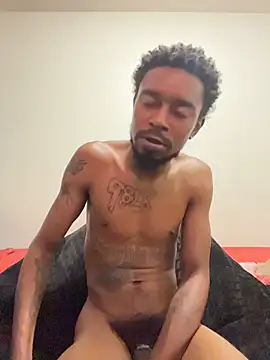 9blk webcam