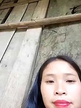 Liss-mimi webcam