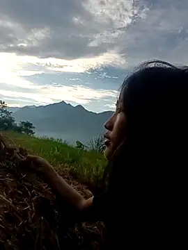 Hoa-tuylip webcam