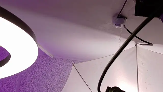 Evie_demn webcam