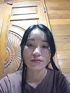 Td3di webcam