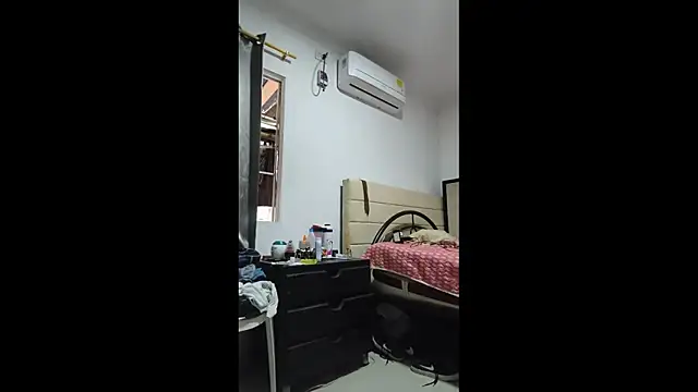 sky_dancers webcam