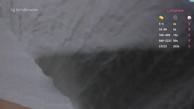 Tenderalise webcam