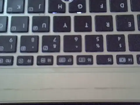 Delicious-D webcam