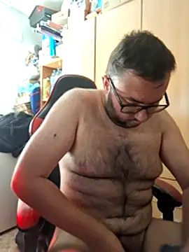 Javier_bear webcam