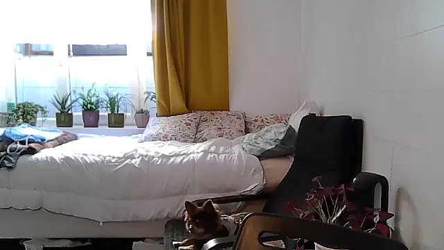 belgianshantie webcam
