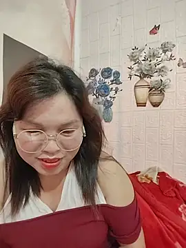 Cover-baa webcam