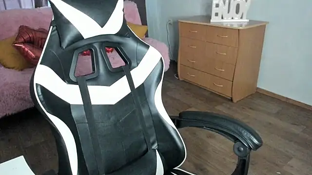 MiniModel webcam