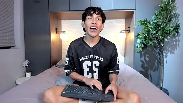 Pierre_Leroy_ webcam