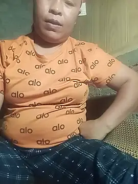 Ip34 webcam
