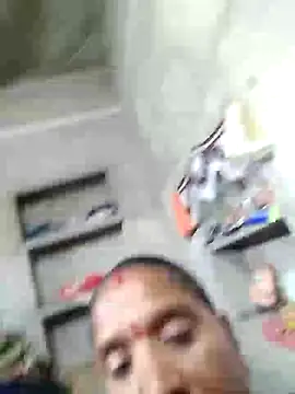 Loomaraj webcam