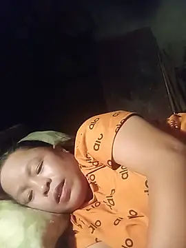 Ip34 webcam