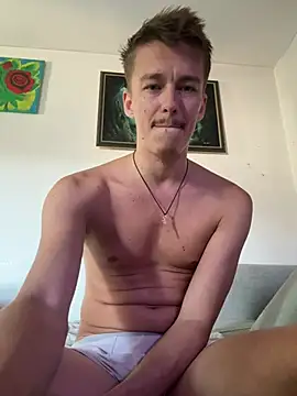 Toyjungee webcam