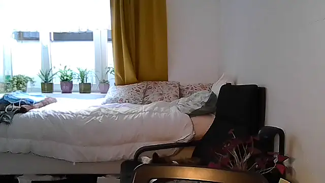 belgianshantie webcam