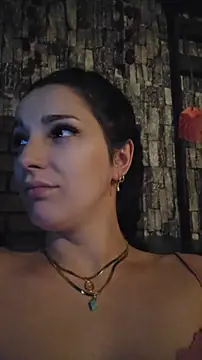 ADA_KISS webcam