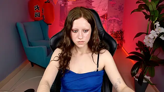 LidaDarknet webcam