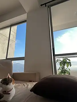 Karyrios webcam