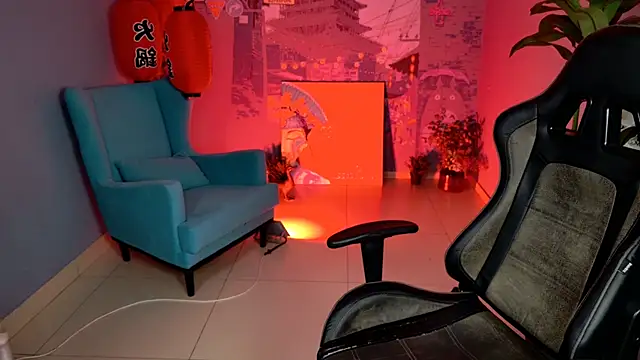 LidaDarknet webcam