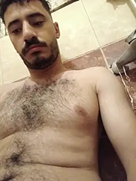 felfil webcam