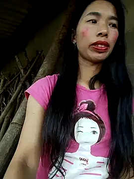 Tho-bibi webcam