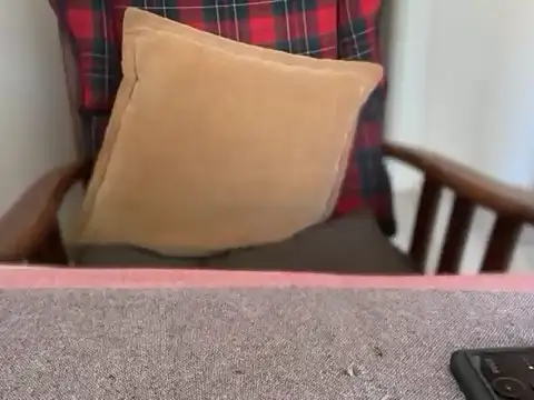 ALPHANDRE webcam
