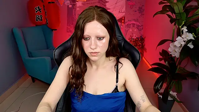 LidaDarknet webcam