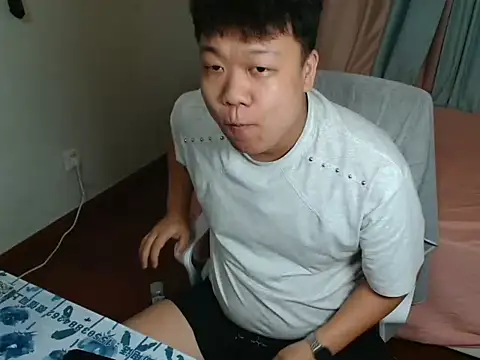 cc2003vv webcam