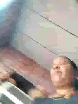 Loomaraj webcam