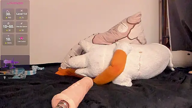NeilRogers webcam