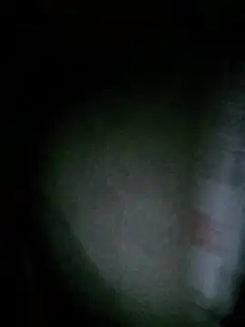 Elizabeo webcam
