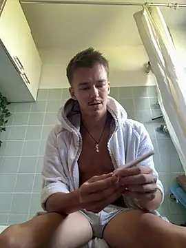 Toyjungee webcam