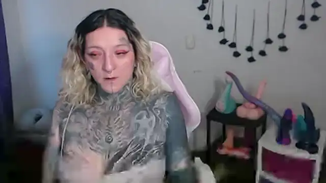 SLOPPYTITSS webcam