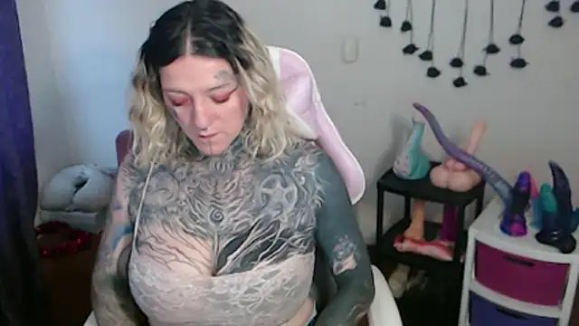 SLOPPYTITSS webcam