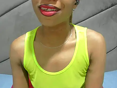 portiax webcam